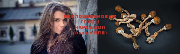 ГАЛЛЮЦИНОГЕННЫЕ ГРИБЫ Санкт-Петербург
